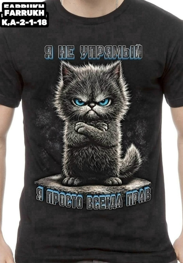Футболка для мужчин