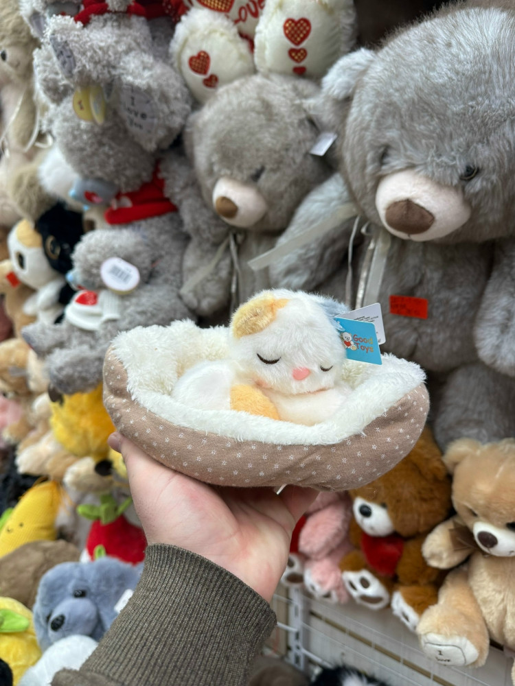 Игрушка